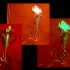 lighting_005