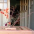 dscn1553
