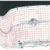 markercomp_005