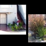 Landscapes 01 - 45 Garden