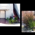 japanese_garden_000