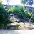 japanese_garden_013