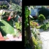 japanese_garden_015