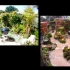 japanese_garden_019
