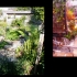 japanese_garden_022
