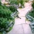 zen_garden_000