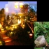 zen_garden_004