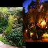 zen_garden_007