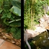 zen_garden_008