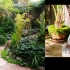zen_garden_012