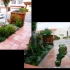 zen_garden_015