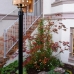 DSCN1880