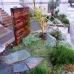 DSCN1903