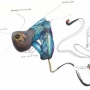 Product 02 - Diagnostic